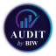 Favicon Audit by BIW
