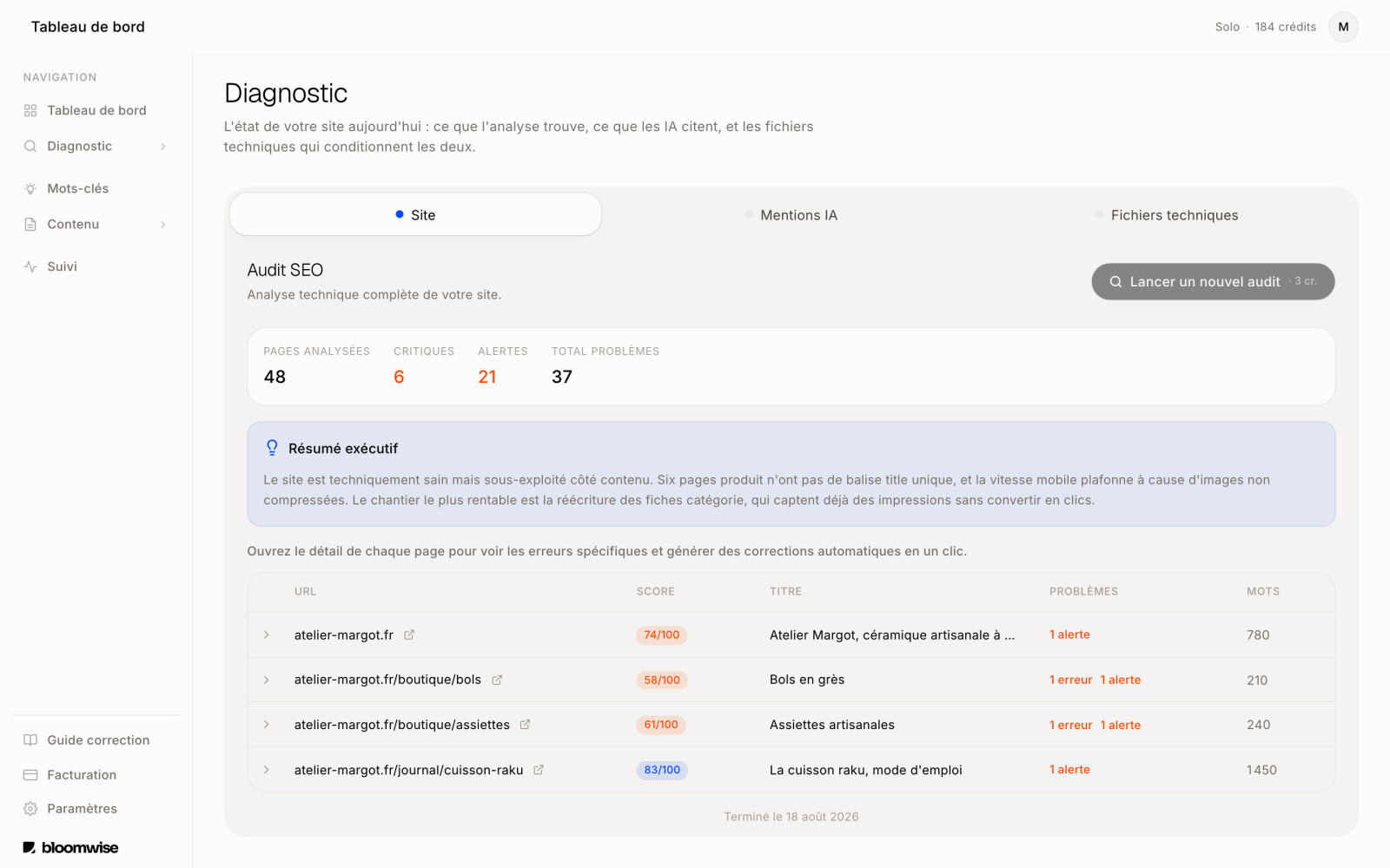 Diagnostic SEO : pages analysées, problèmes critiques et alertes, résumé et score de chaque page.